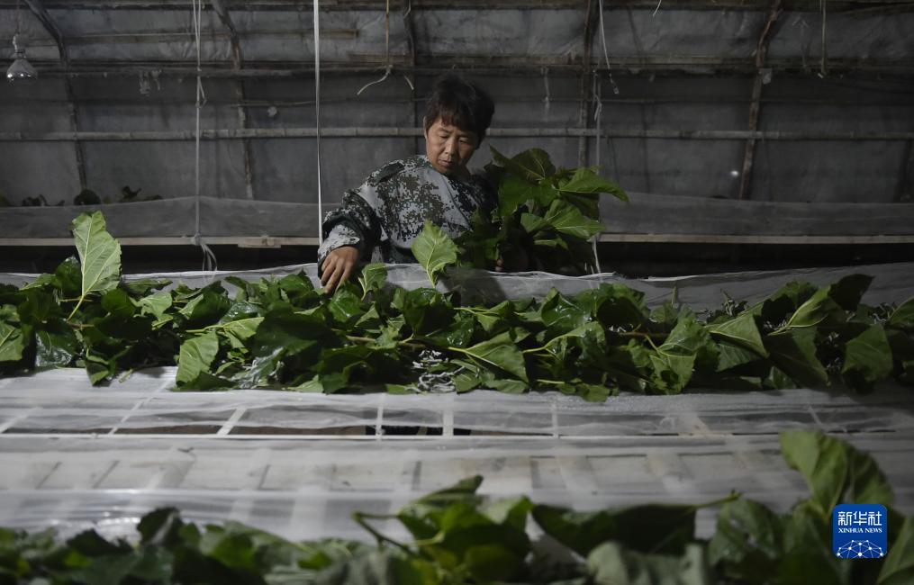 永利怎么样